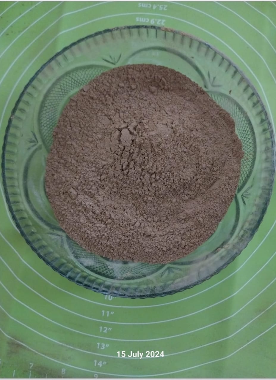 Ayurvedic Hair Treatment Mask- 60 gm